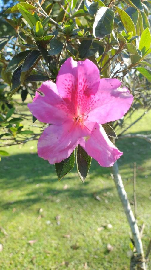 Pousada Do Sobrado บาเจ ภายนอก รูปภาพ