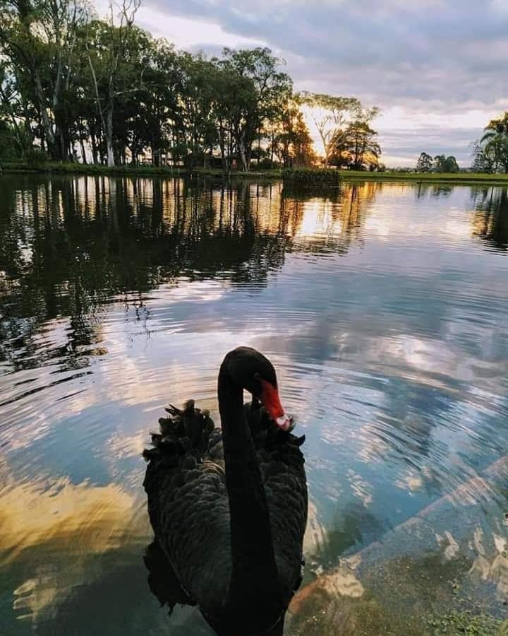 Pousada Do Sobrado บาเจ ภายนอก รูปภาพ