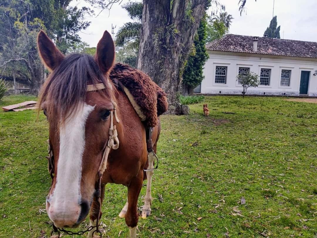 Pousada Do Sobrado บาเจ ภายนอก รูปภาพ